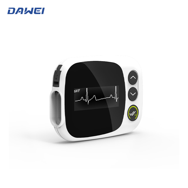 צג הולטר א.ק.ג