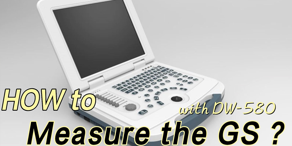 Dw-580 Treoir Oibri&uacute;ch&aacute;in